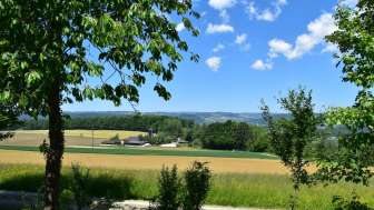 aussichtspunkt-rietheimer-waldhütte-oberholz