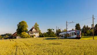 Seetal_Feld_Seetalbahn_Mai_Auswahl-3027_Betschart