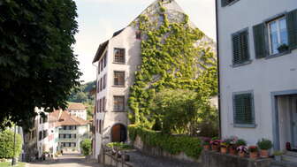 kaiserstuhl-strasse-in-die-altstadt