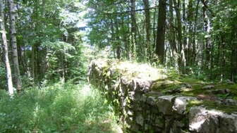 Grundmauern Ruine Horn