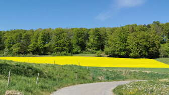 boebikon-gueggenhuehalde-strasse