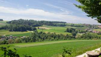boebikon-iberich-grillstelle-4