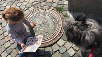Löwensafari in Laufenburg