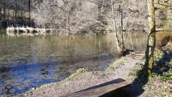 Wohlen_Steffetsmösli-Ruhebank