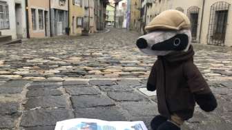 Detektiv Dachs