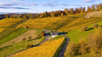 baumgartner-weinbau-ag-herbststimmung-mit-remise