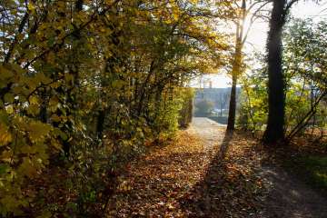 Wunderschöne Herbstlandschaft im November in Bad Zurzach.