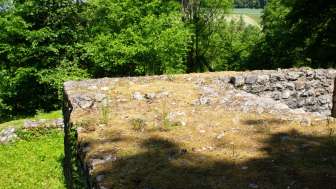 ruine-boebikon4