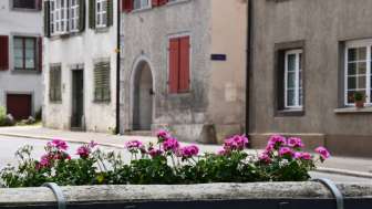 bad-zurzach-flecken-brunner-mit-blumen