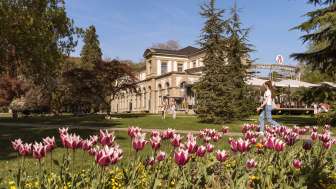 Kurpark