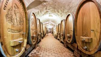 weingut-zum-sternen-weinkeller-trotte
