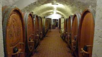 Weingut zum Sternen, Weinkeller mit Fässer