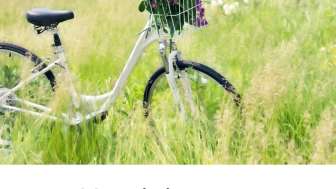 EVO Folder D Heks 08 2026 S1 S4 bilder 0