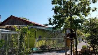 PapageienWelt Vogelpark Ambigua