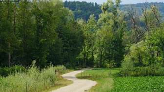 aue-chly-rhy-wanderweg