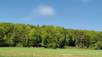 boebikon-gueggenhuehalde-wiese