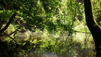 etelweiher