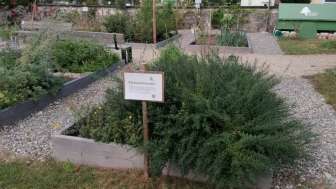 Religionsgarten Aarburg