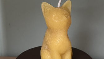 NEW Katzen Kerze bs260623