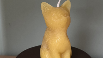 NEW Katzen Kerze bs260623