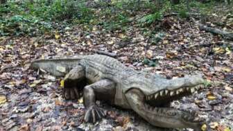 Krokodil