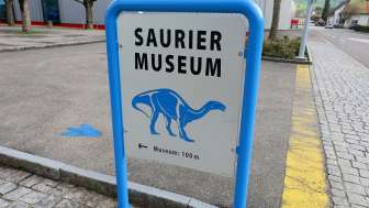 Sauriermuseum Frick.
