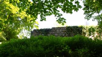 ruine-boebikon2