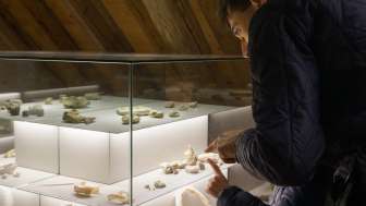 Fossilien aus Staffelbach  Foto Sandsteinmuseum