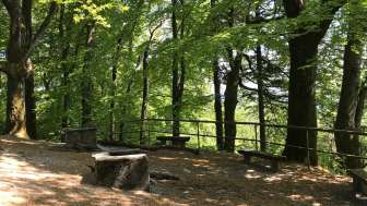 Grillplatz bei der Ruine Alt-Wartburg