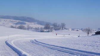 Rickenbach_316_Loipe-Rickenbach_1