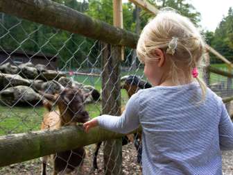 Der Tierpark Bad Zurzach ist ein Ausflugziel für Jung und Alt. Tierfutter kann von einem Automaten bezogen werden.