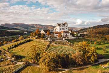 Eine Luftaufnahme vom Schloss Wildegg mit dem herbstlichen Rebberg im Vordergrund.