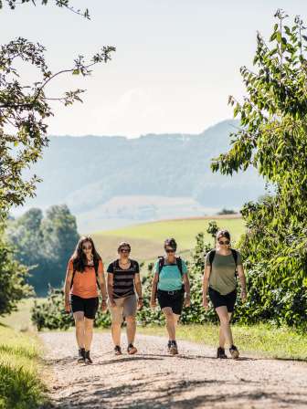 Unterwegs auf dem Fricktaler Hoehenweg. Hier bei der Kirschenernte in Gipf-Oberfrick.