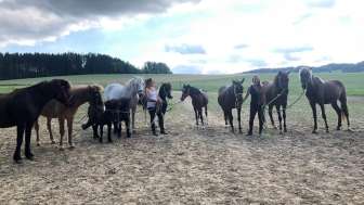 sandy-und-jessy’s-ponyparadies-ponygruppe