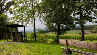 waldhaus_oberholz_baenkli