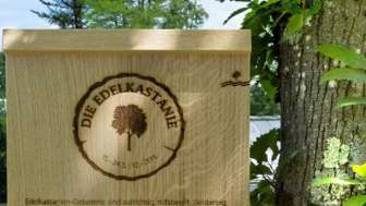 Baumhoroskop Reusspark