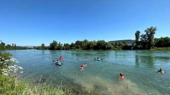 Rheinschwimmen Bad Zurzach_2