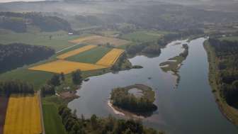 Flachsee Unterlunkhofen