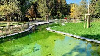 Stadtpark Weiher