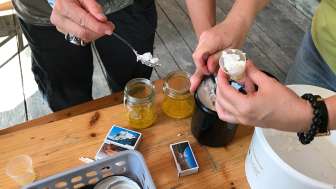 Mit Goldruten-Hydrolat ergeben sich wertvolle Natur-Kosmetika.