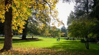 Herbst im Kurpark