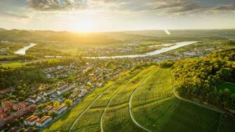 weingut-zum-sternen-reblandschaft-aussicht