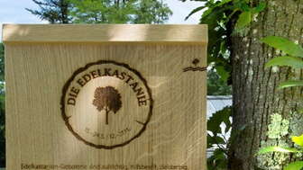 Baumhoroskop Reusspark
