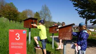 papa-moll-weg-tastboxen