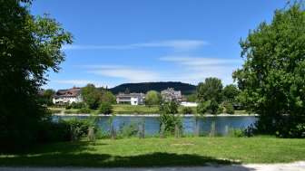 Sicht auf den Rhein_Grillstelle_Alte Badi