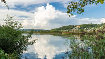 klingnauer-stausee-ufer-mit-spiegelung