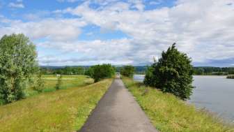 birdlife-naturzentrum-klingnauer-stausee-linkes-seeufer