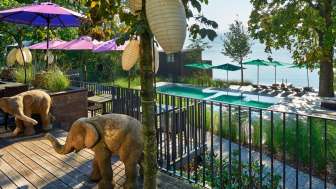 Meisterschwanden_Seerose_Samui Thai_Neu (2)