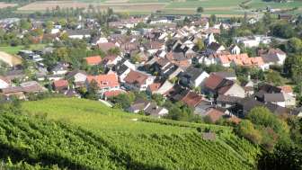 Rebberge Schinznach-Dorf