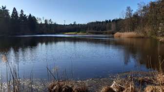 Fischbacher Mösli